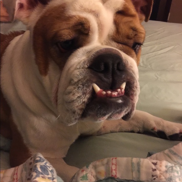 Meet your Posher, Sandra - Picture 3 of 4